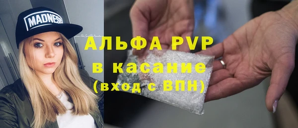 ПСИЛОЦИБИНОВЫЕ ГРИБЫ Елабуга