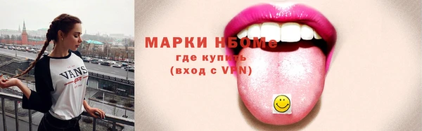 шишки Осинники