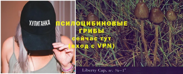 бутират Ельня