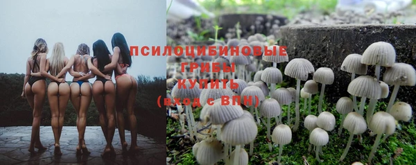 бутират Ельня