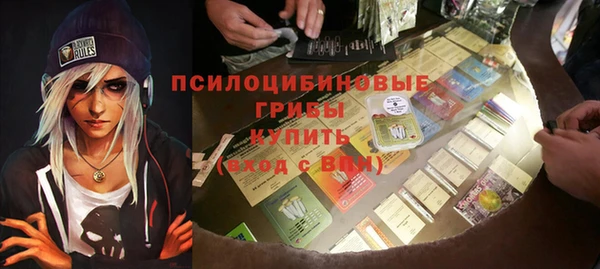 ПСИЛОЦИБИНОВЫЕ ГРИБЫ Елабуга