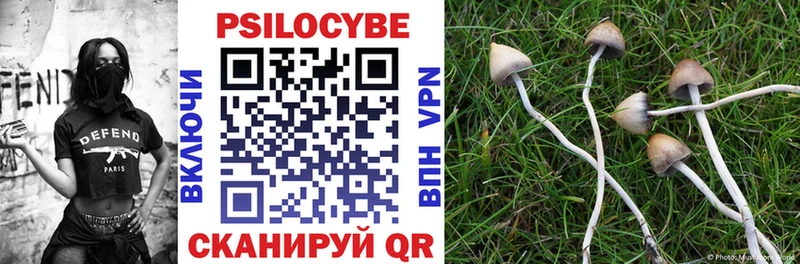 Галлюциногенные грибы GOLDEN TEACHER Пустошка